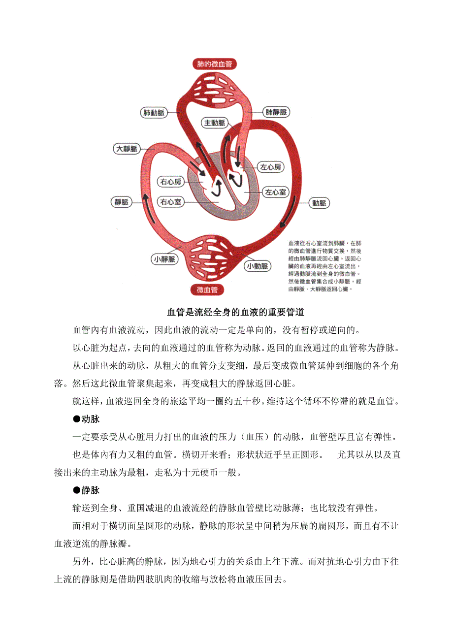 血管熟悉而陌生的老伴儿_第3页