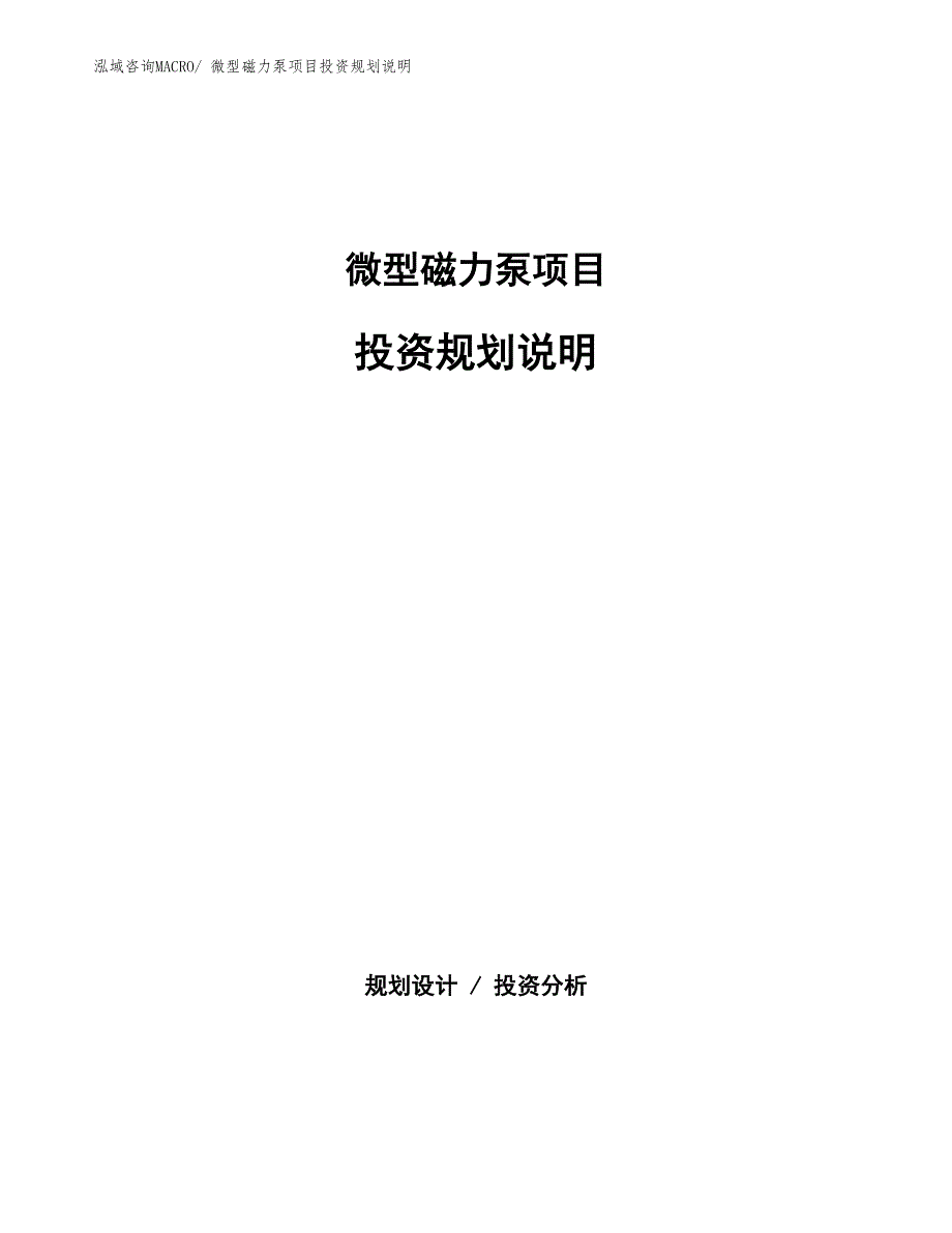 微型磁力泵项目投资规划说明_第1页