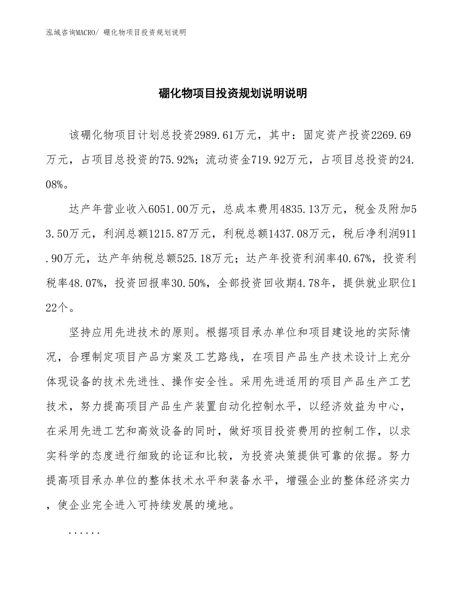 硼化物项目投资规划说明_第2页