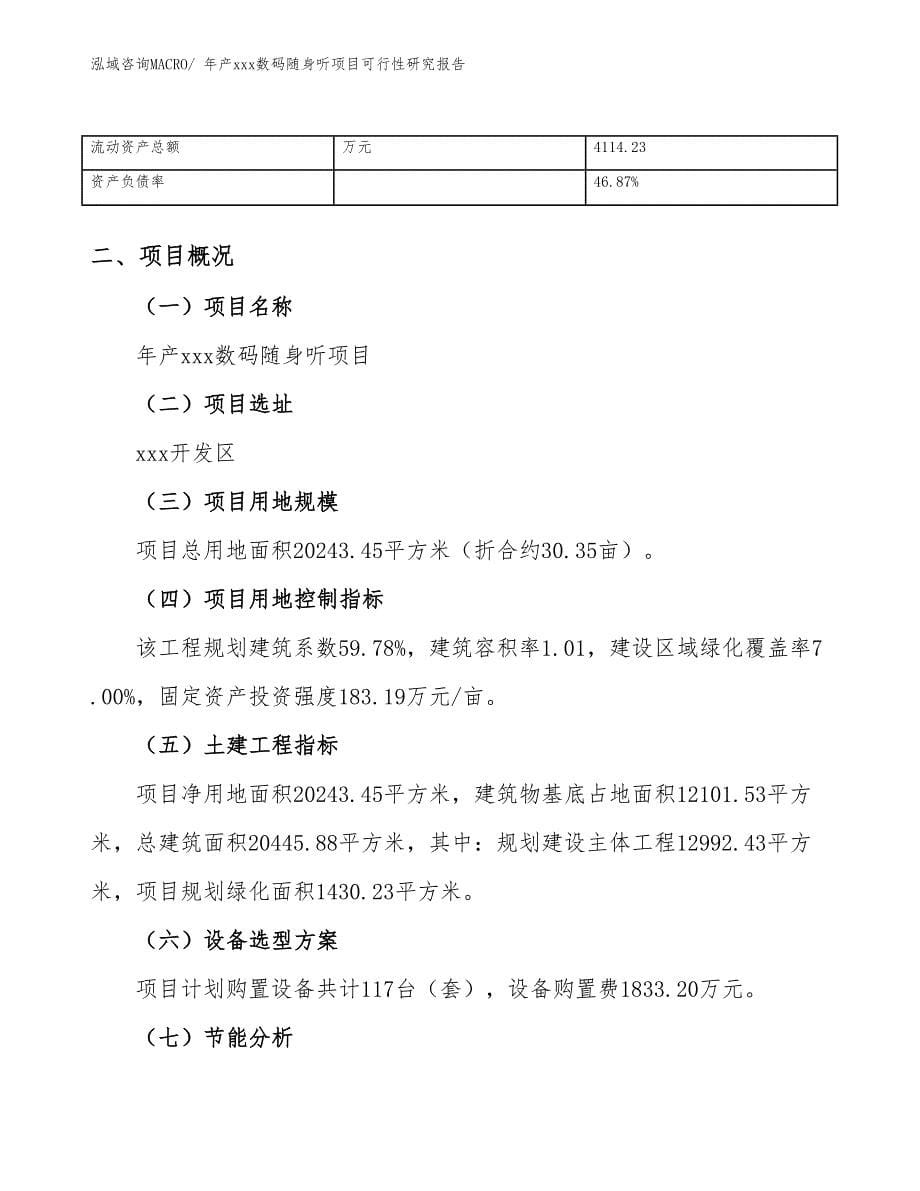 年产xxx数码随身听项目可行性研究报告_第5页