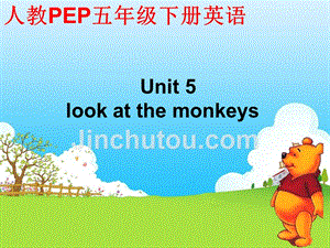 人教PEP版英语五下《unit 5 look at the monkeys》课件之四