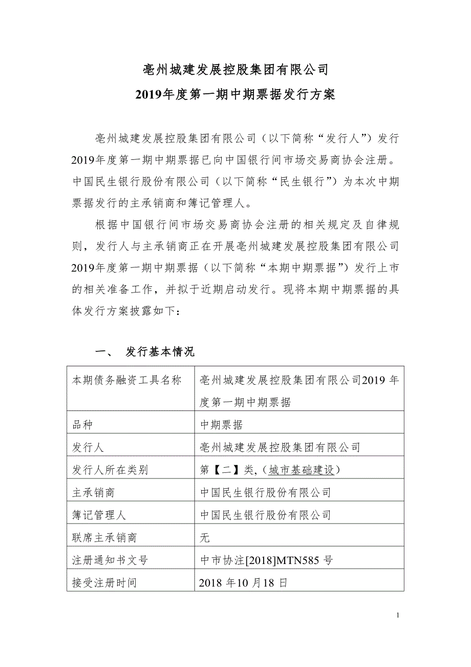 亳州城建发展控股集团有限公司2019年度第一期中期票据发行方案和承诺函_第1页