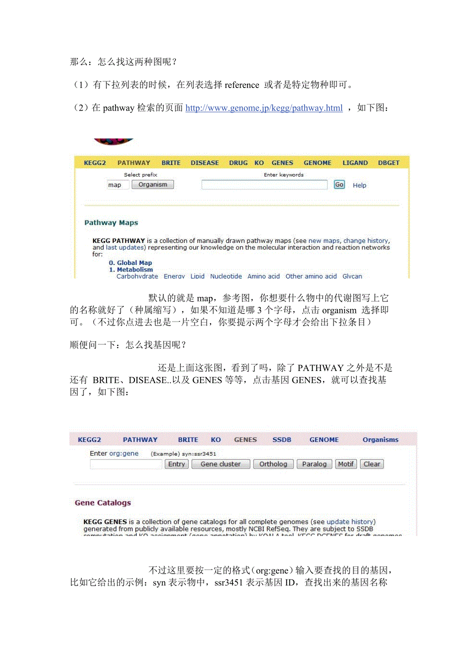 kegg数据库的使用说明_第4页