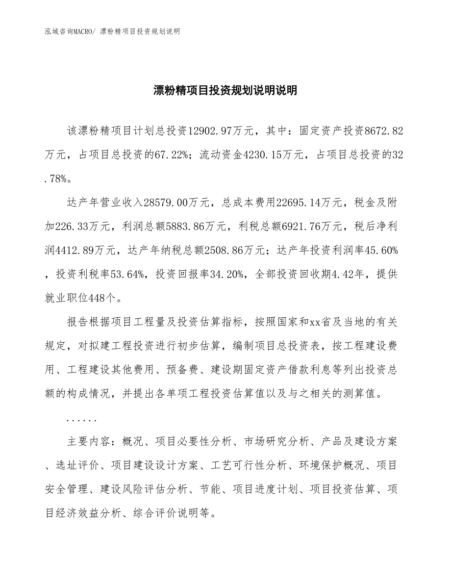 漂粉精项目投资规划说明_第2页