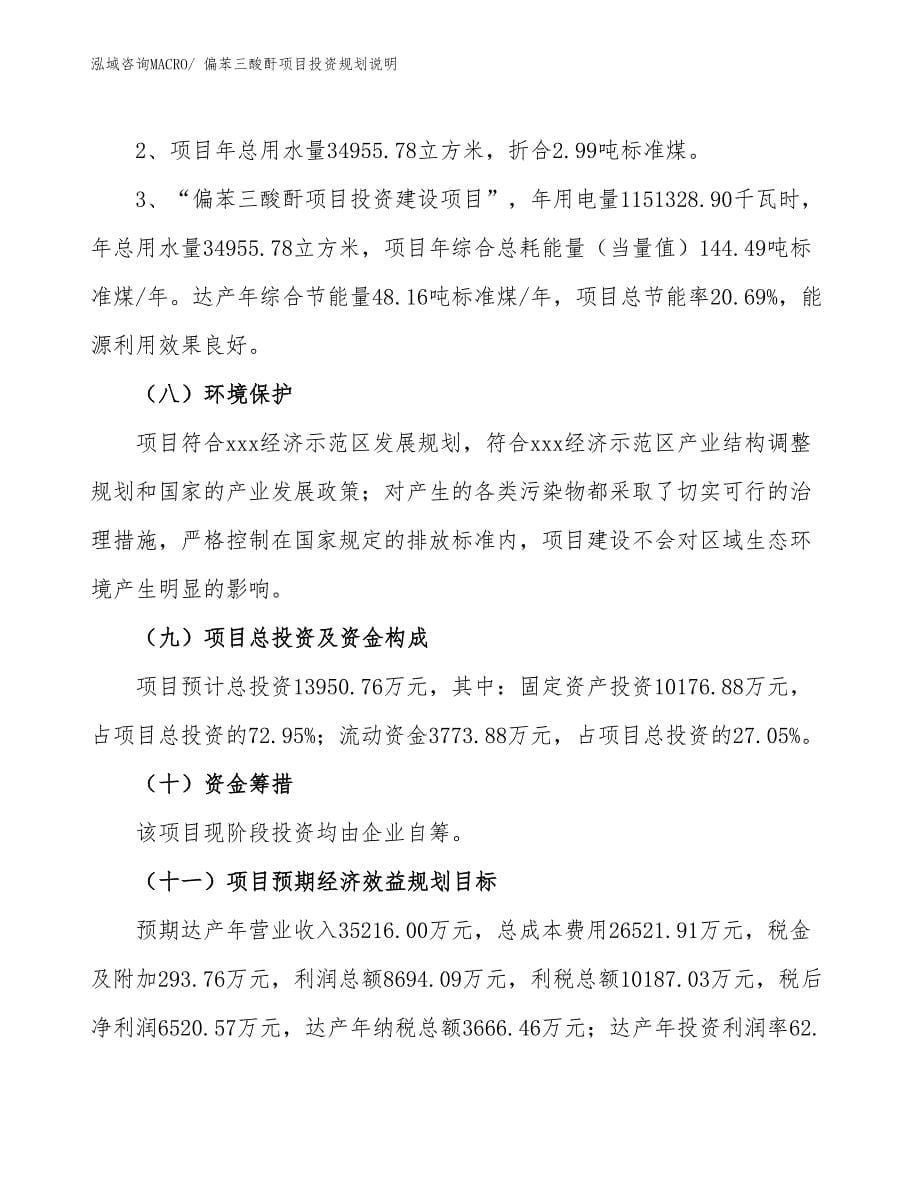 偏苯三酸酐项目投资规划说明_第5页