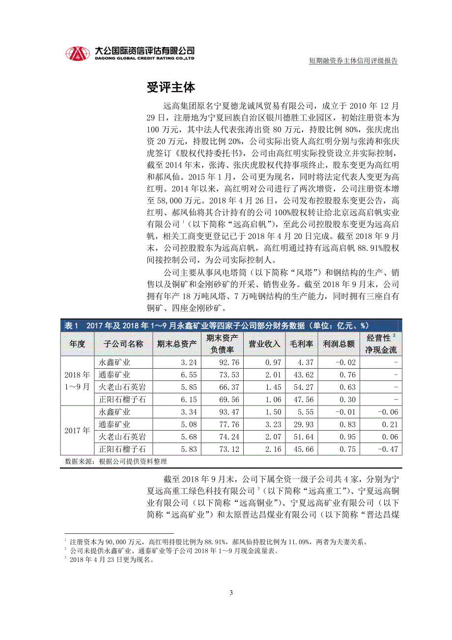 宁夏远高实业集团有限公司主体信用评级报告_第3页