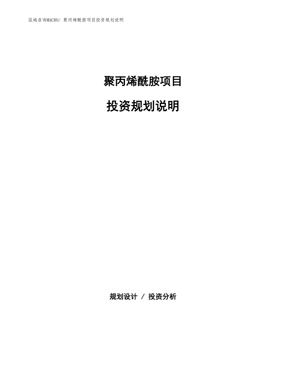 聚丙烯酰胺项目投资规划说明_第1页