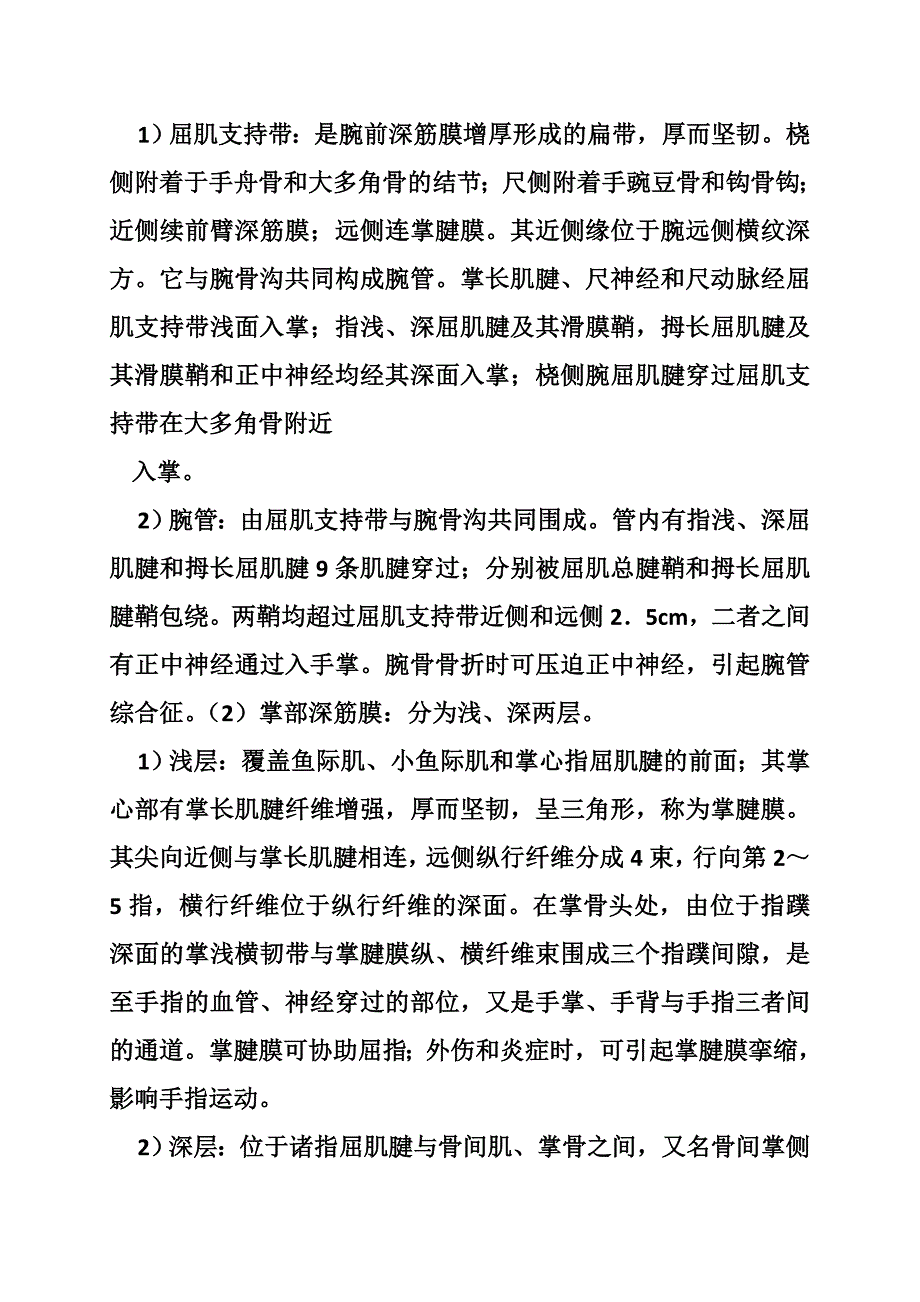 赞美手的作文_第4页