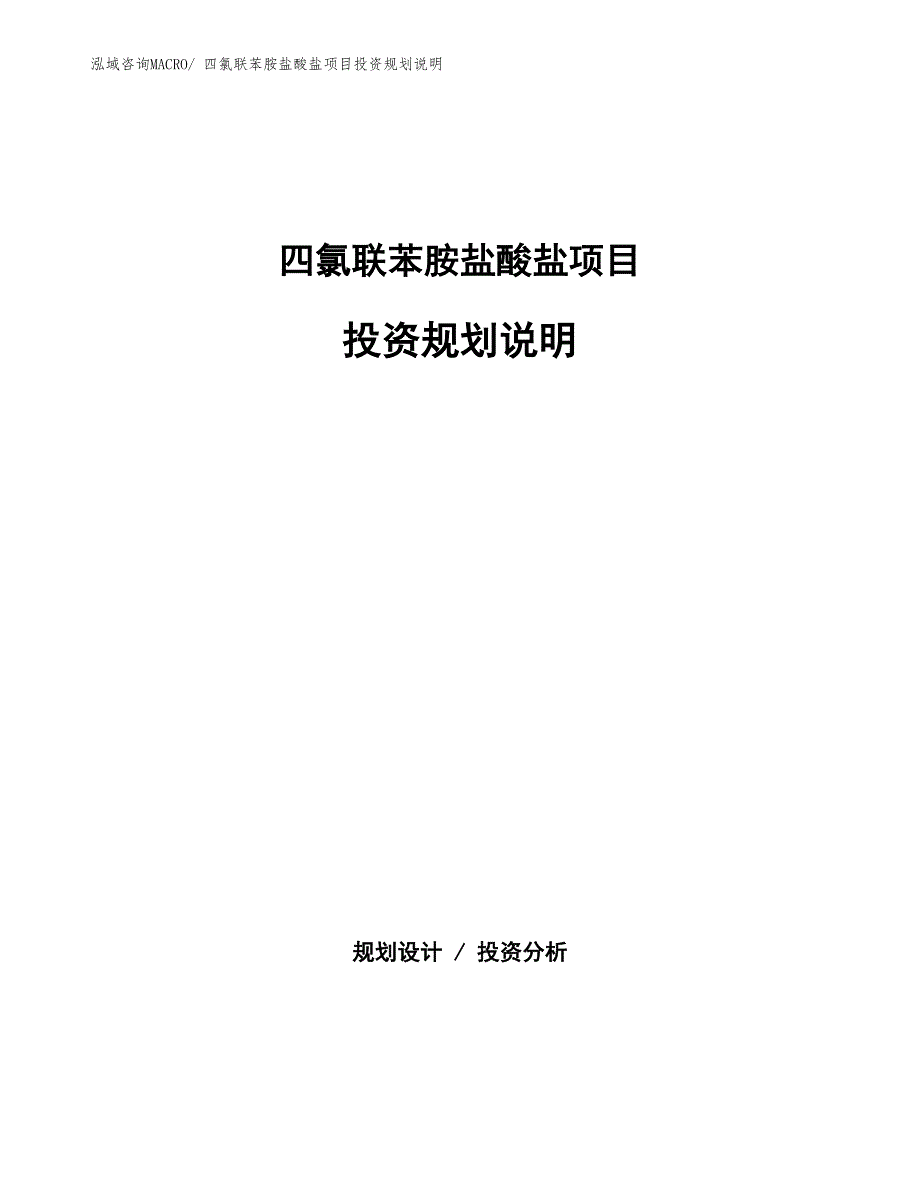 四氯联苯胺盐酸盐项目投资规划说明_第1页