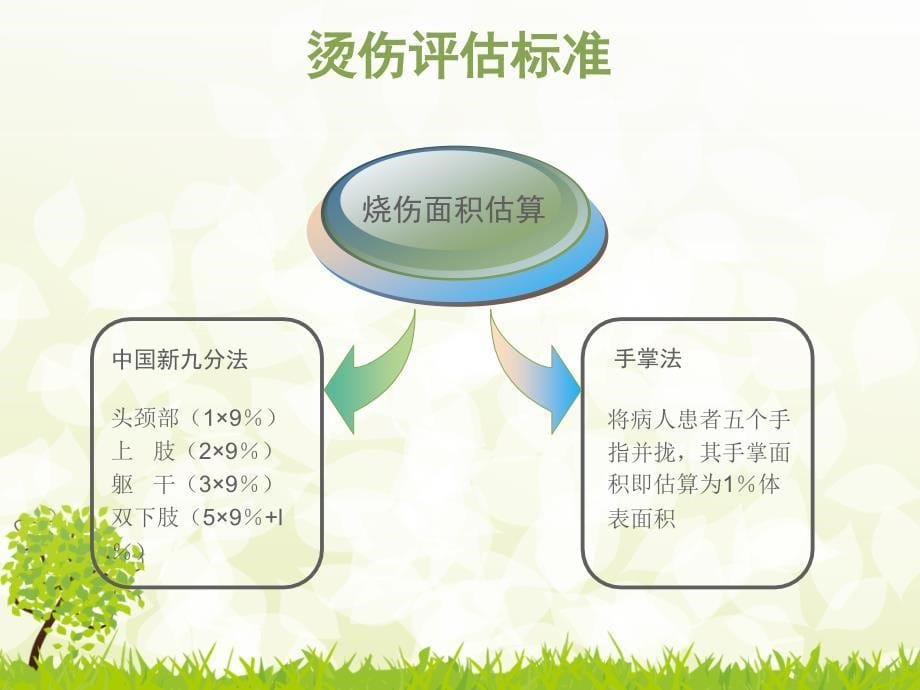 烧烫伤现场急救培训_第5页