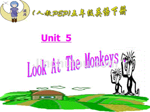 人教PEP版英语五下《unit 5 look at the monkeys》 课件之六