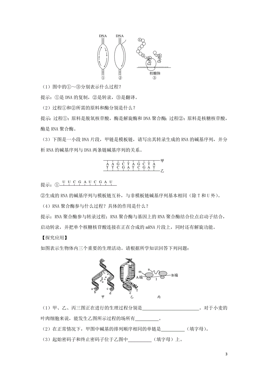 （新课改地区）2018-2019学年高中生物 第4章 基因的表达 第1节 第2课时 dna复制、转录、翻译的比较及相关计算学案 新人教版必修2_第3页