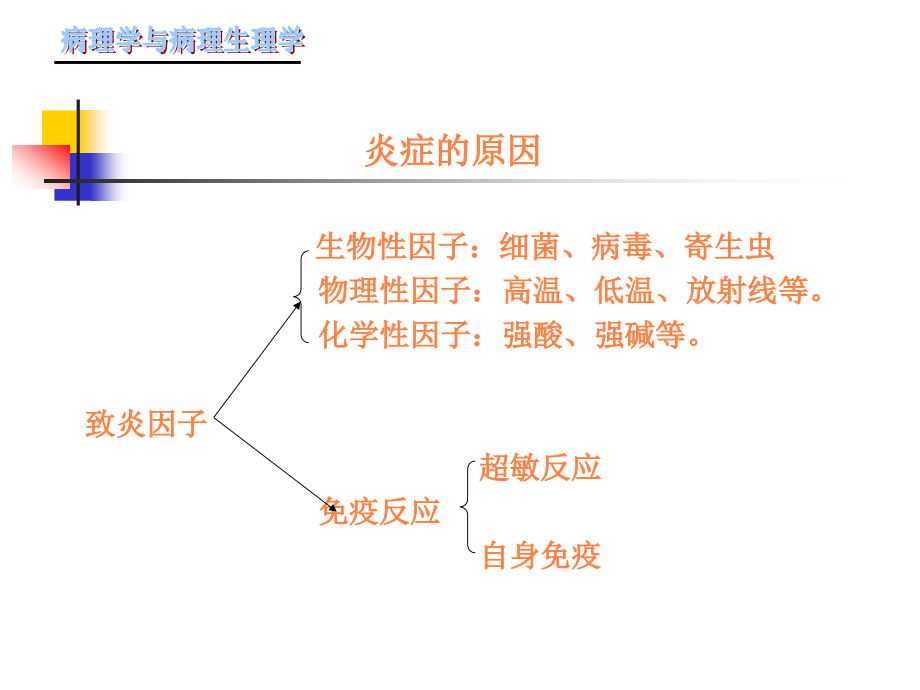 课件：炎症的概念与原因_第3页