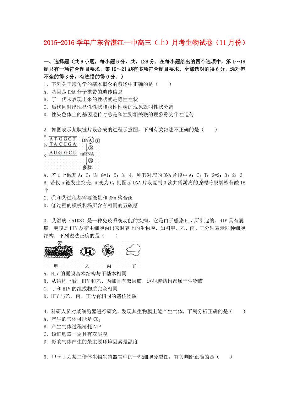 广东省湛江一中2016届高三生物上学期11月月考试卷（含解析）_第1页