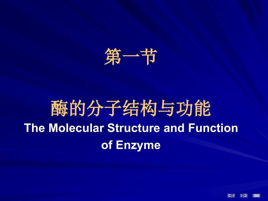 课件：生物化学酶_第5页