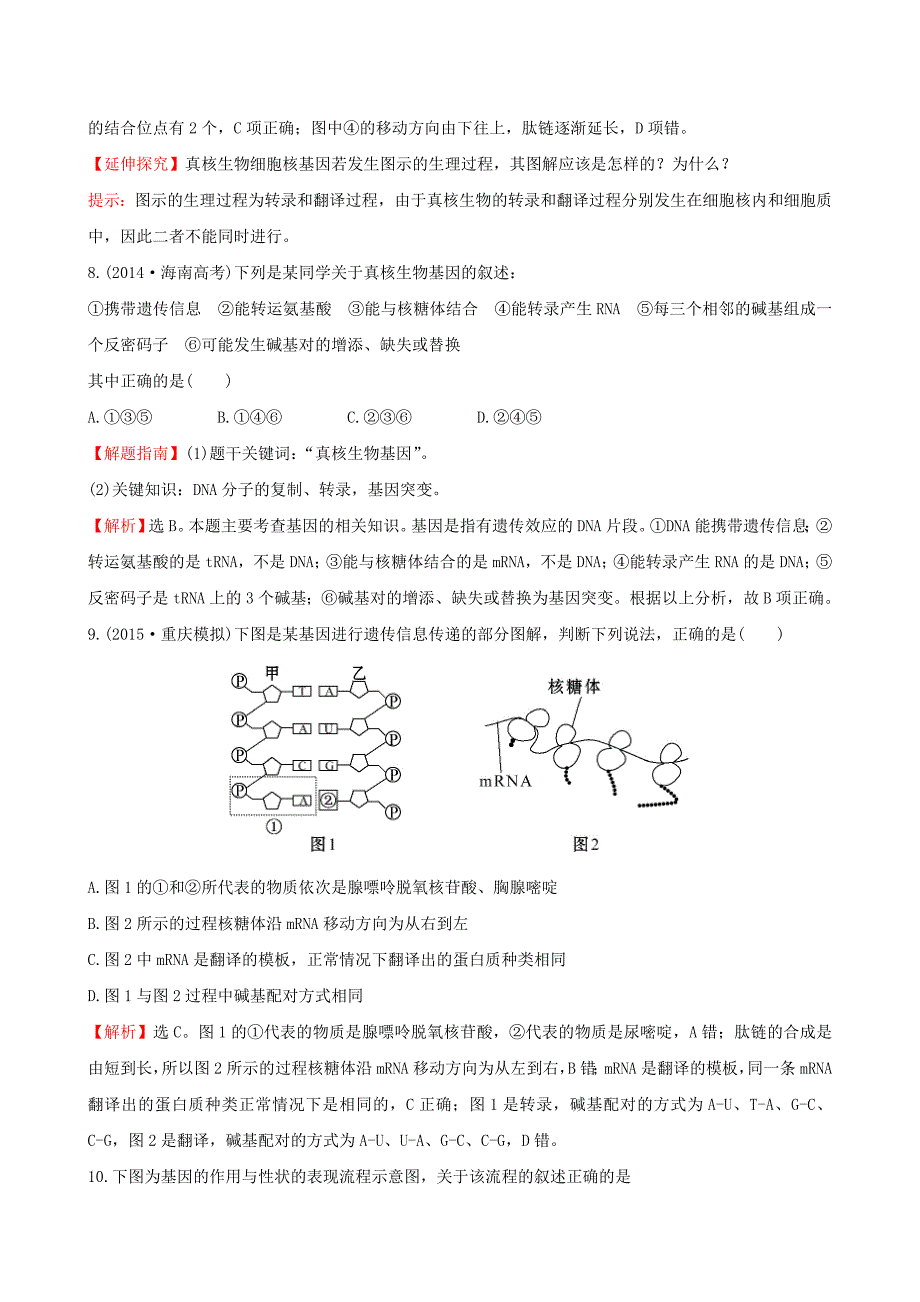 2016届高三生物第一轮复习 第4章 基因的表达基因的表达练习 新人教版必修2_第4页