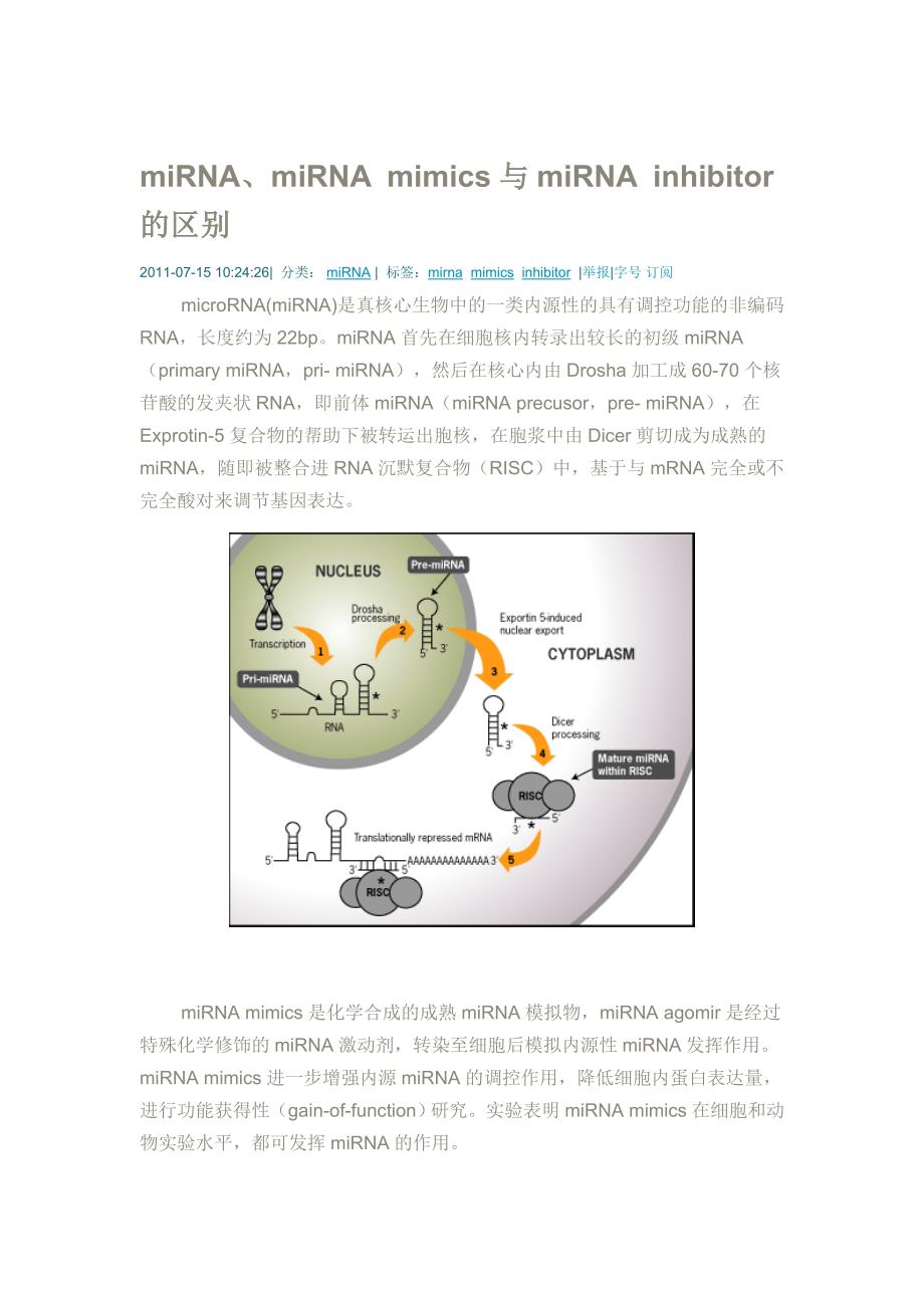 mirna、mirnamimics与mirnainhibitor_第1页