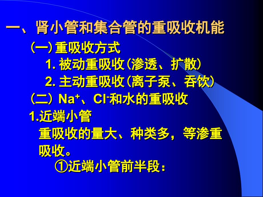 课件：肾小管和集合管的功能_第2页