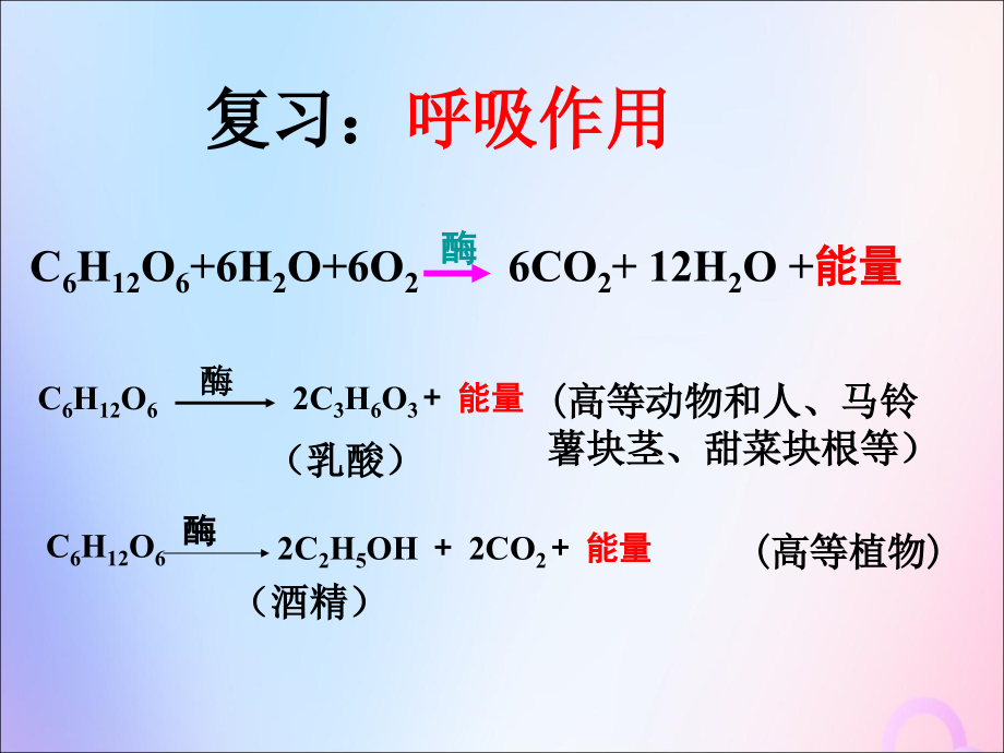 四川省成都市高中生物 第五章 细胞的能量供应和利用 5.4 光合作用3课件 新人教版必修1_第2页