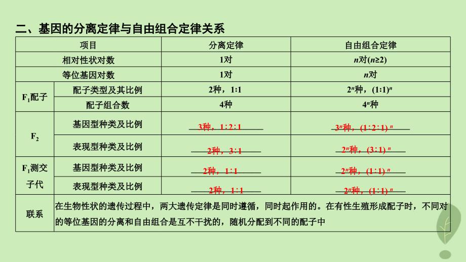 （新课改地区）2018-2019学年高中生物 第1章 遗传因子的发现 第2节 第2课时 孟德尔的两对相对性状的杂交实验课件 新人教版必修2_第3页