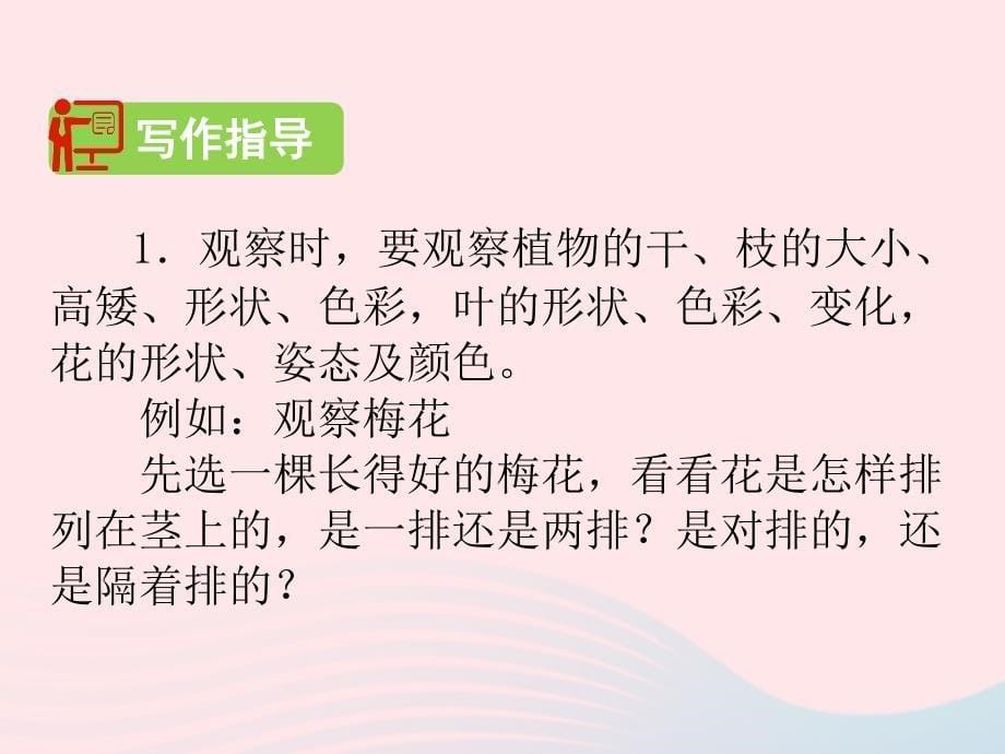 2019三年级语文下册 第一单元 习作《我的植物朋友》课件 新人教版_第5页