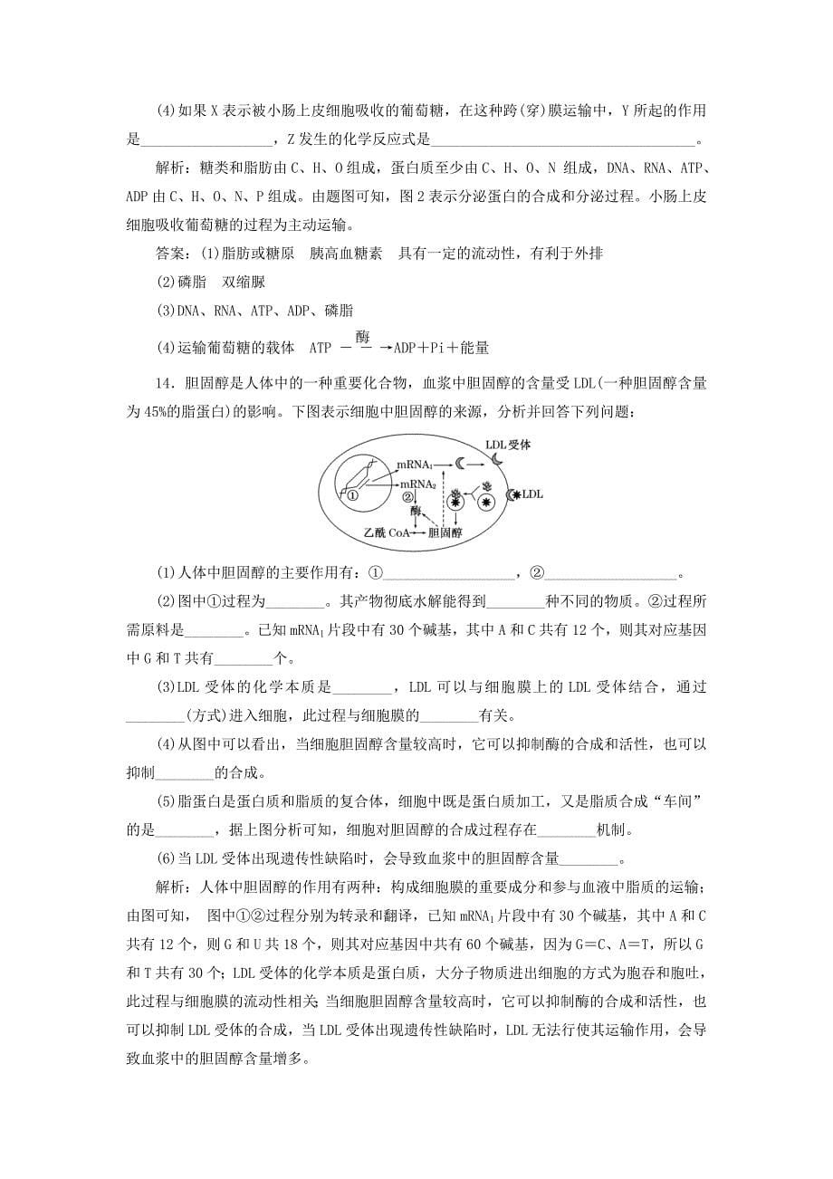 全程设计2016届高考生物一轮复习 高考成功方案训练第3步 第2章 第三讲 遗传信息的携带者-核酸 细胞中的糖类和脂质 新人教版必修1_第5页