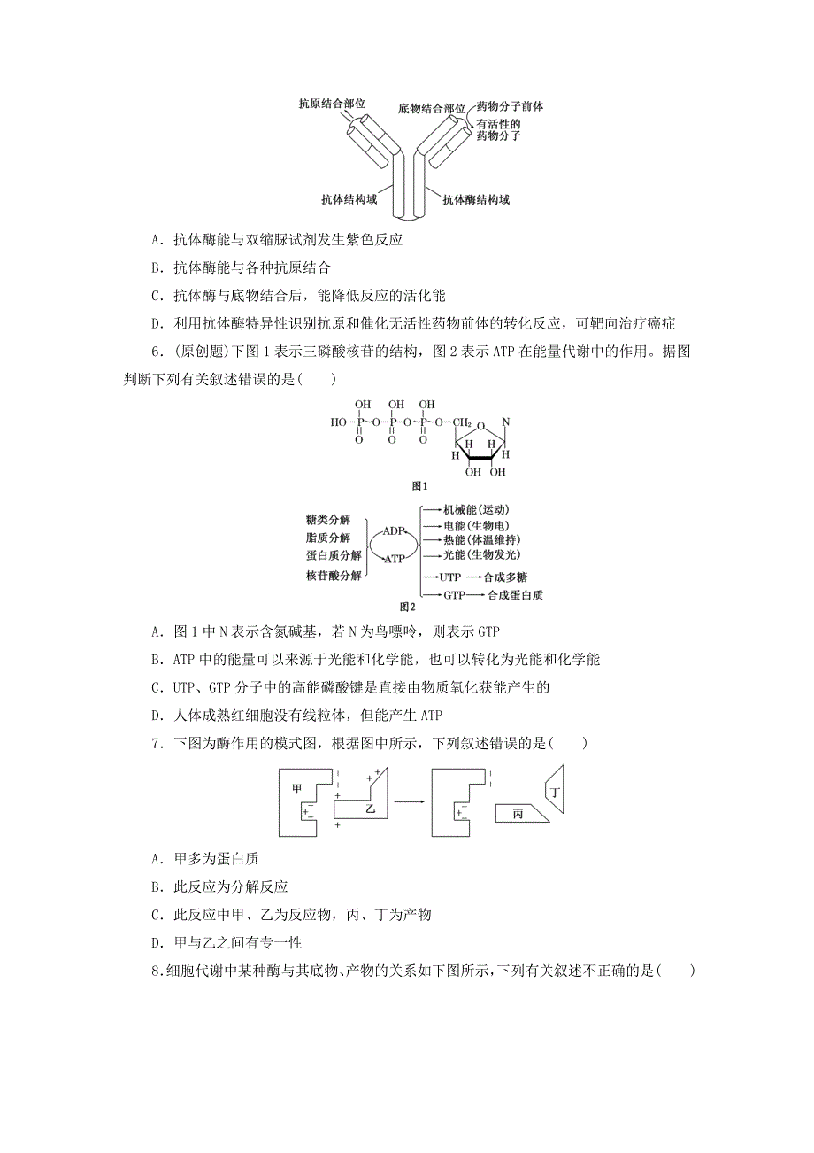 2016届高三生物一轮复习 第三单元 第一讲 酶和atp课时跟踪检测 新人教版必修1_第2页