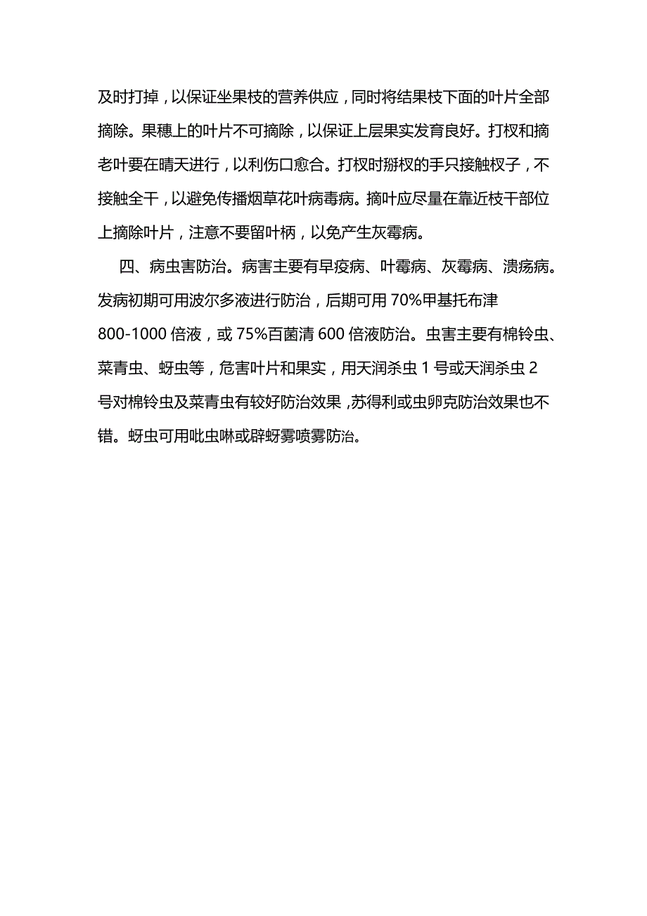 樱桃西红柿种子种植栽培技巧_第3页