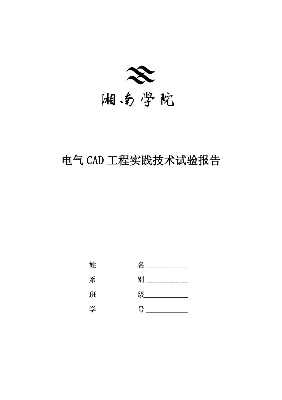 cad实验报告模板文档_第1页