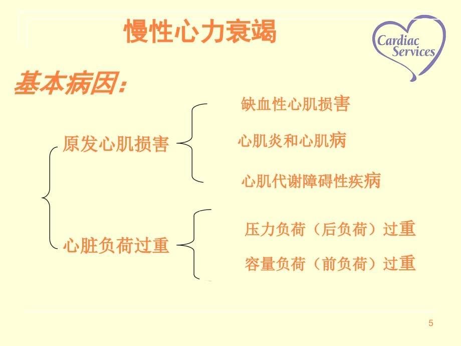 课件：心力衰竭病人的护理 (2)_第5页