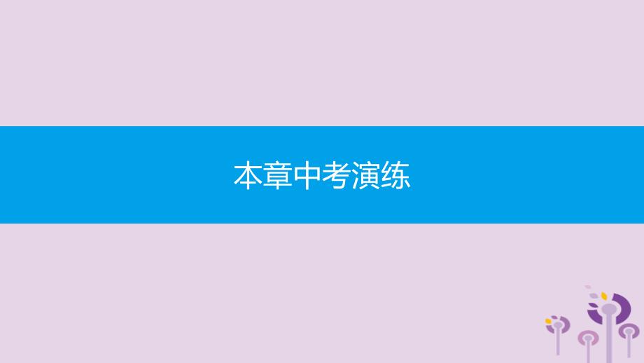 2019年春八年级数学下册 第十七章 勾股定理本章中考演练课件 （新版）新人教版_第1页