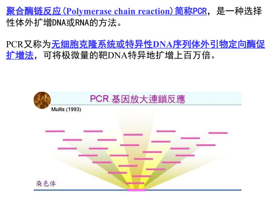 课件：实验四cr技术在动物传染病诊断中的作用_第3页