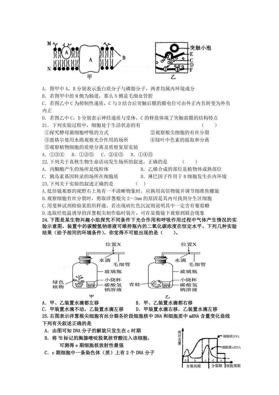 山东省文登第一中学2016届高三生物10月阶段质量检测试题_第5页