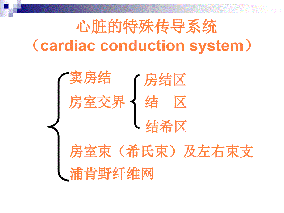 课件：心肌细胞的生物电_第3页