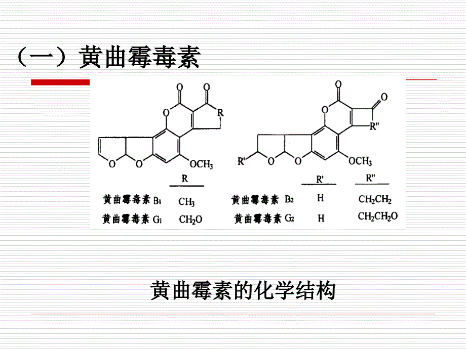 课件：食品中的生物毒素_第4页