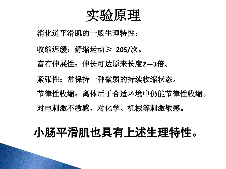 课件：家兔小肠平滑肌实验小肠运动形式的_第3页