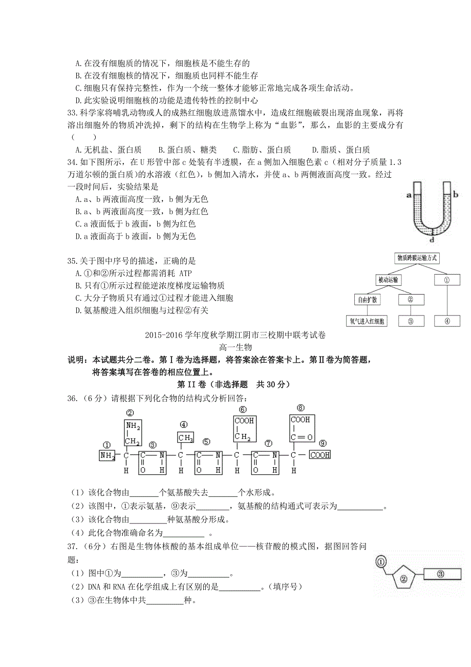 江苏省江阴市华士、成化、山观三校2015-2016学年高一生物上学期期中联考试题_第4页