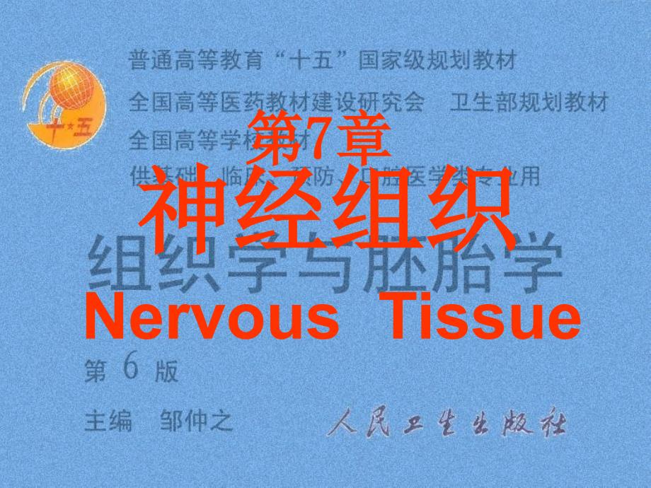 课件：组织胚胎学07神经组织_第1页