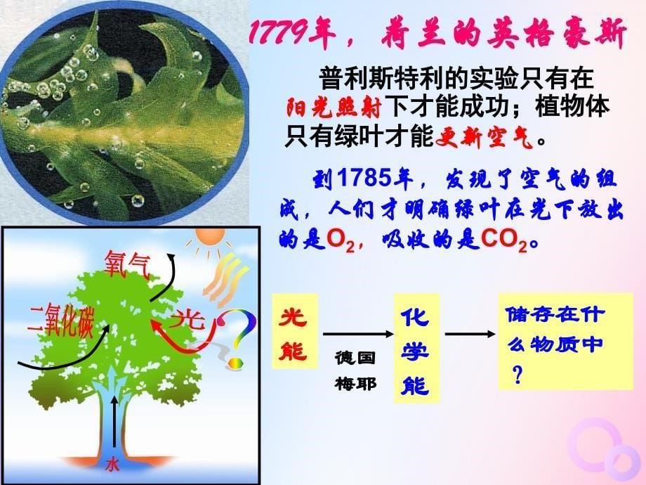 四川省成都市高中生物 第五章 细胞的能量供应和利用 5.4 光合作用2课件 新人教版必修1_第5页