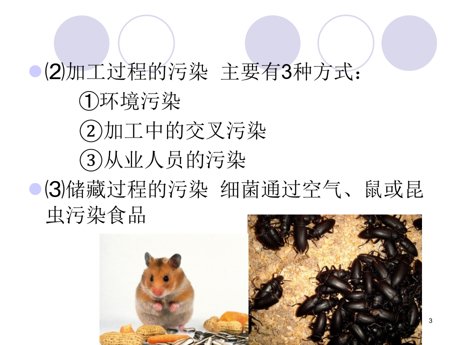 课件：食品的生物性污染_第3页