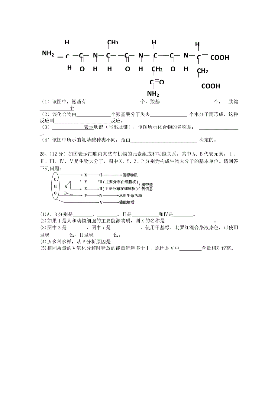 广东省实验学校2015-2016学年高一生物上学期期中试题（a）_第4页