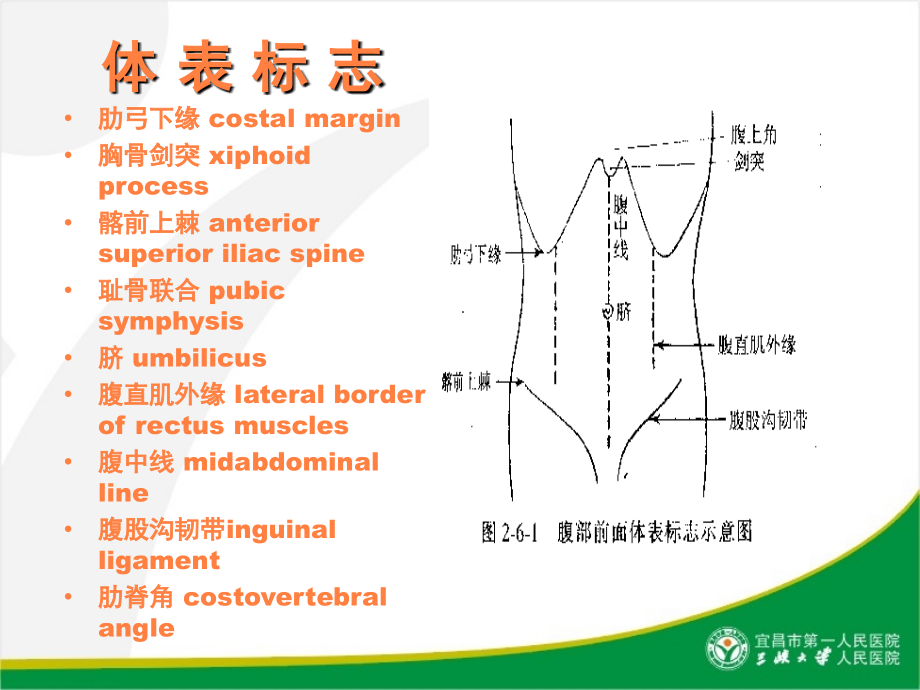 课件：健康评估_第4页