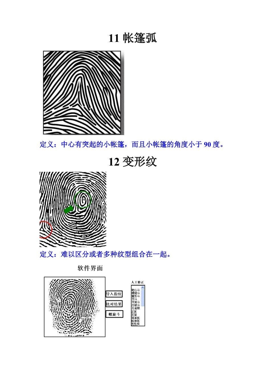 每种纹型的定义标准_第5页