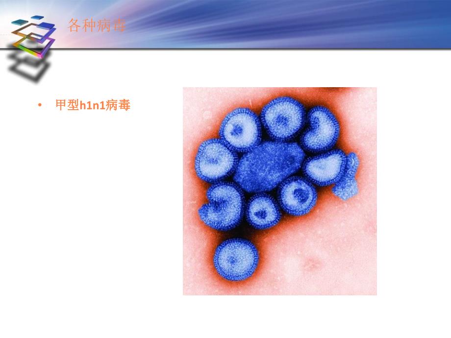 课件：上册科学病毒_第4页