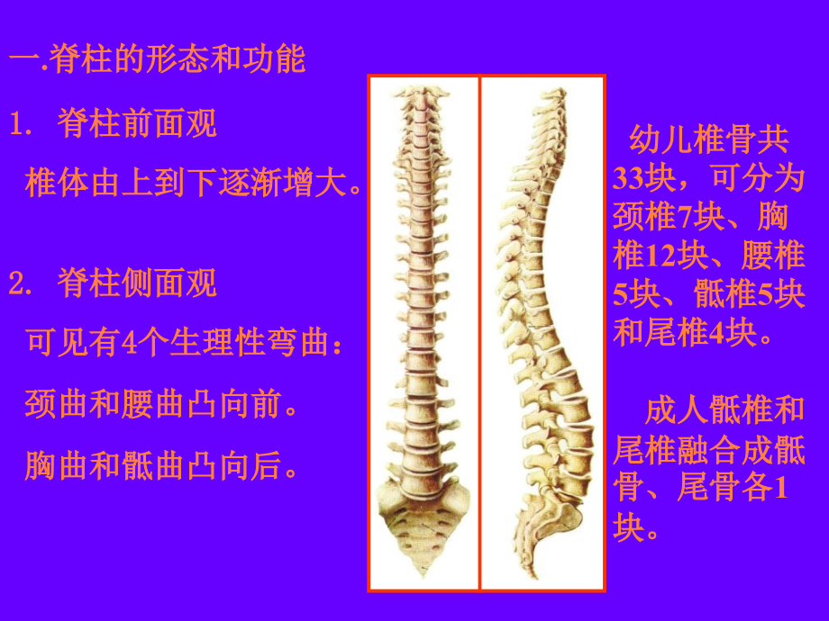 课件：脊柱疾病的康复_第2页