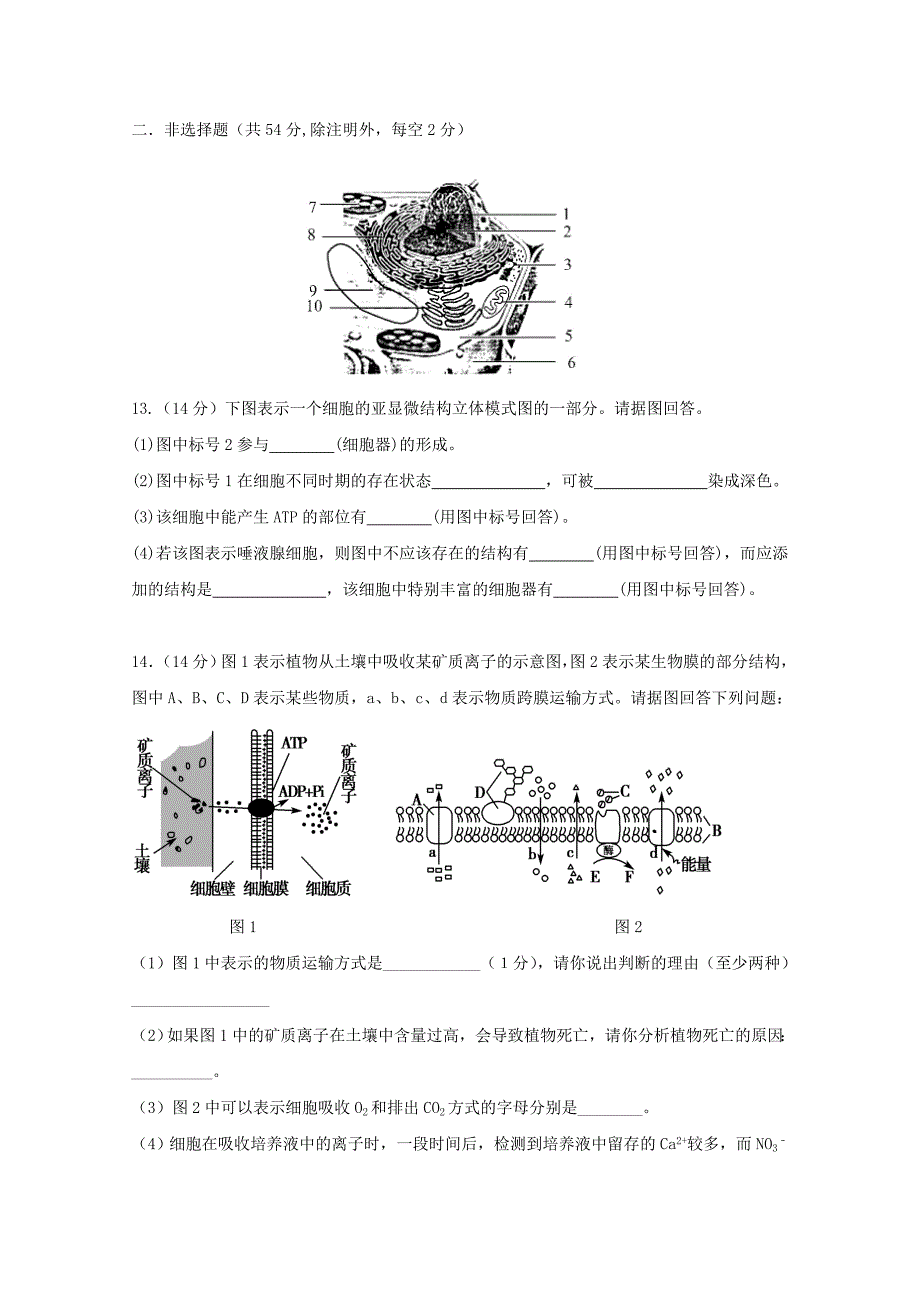 广东省汕头市金山中学2015-2016学年高一生物上学期12月月考试卷_第4页