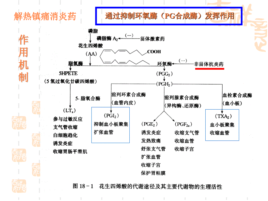 课件：解热镇痛抗炎药-黄_第4页