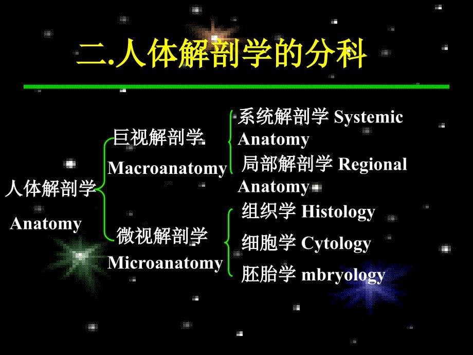 课件：系解之绪论躯干骨_第5页