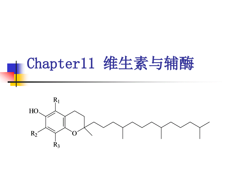 课件：维生素与辅酶 (2)_第1页