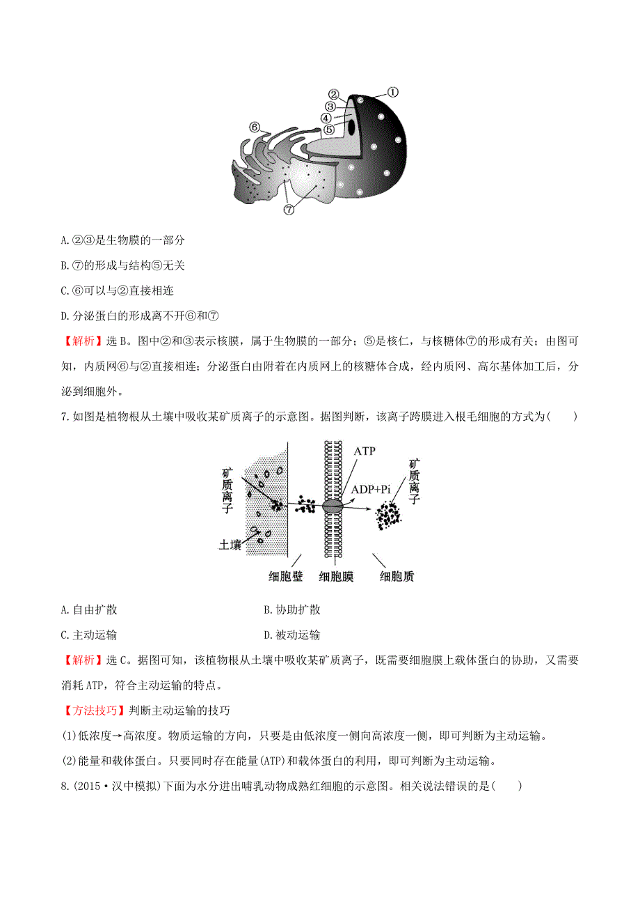 2016届高三生物第一轮复习 第3、4章 细胞的基本结构 细胞的物质输入和输出单元评估检测 新人教版必修1_第3页